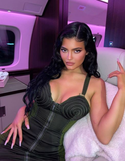 Kylie Jenner Wiki 2021: Age, Career, Net Worth