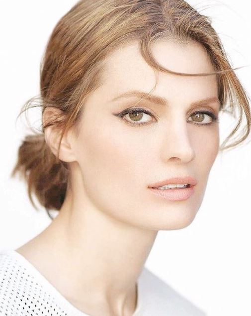 Stana Katic Bio 2021: Age, Career, Net Worth